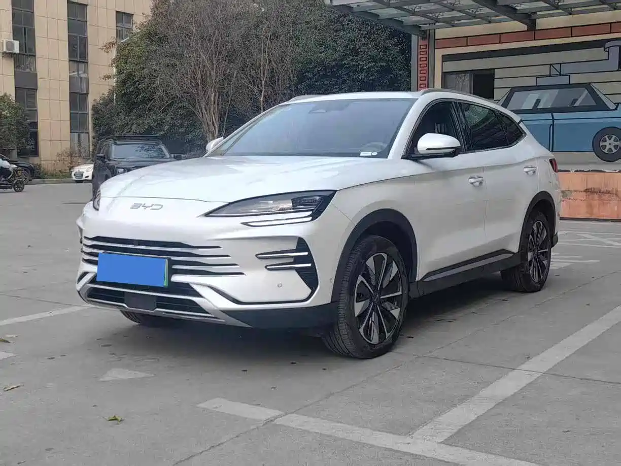BYD SONGJIANG NEW ENERGY