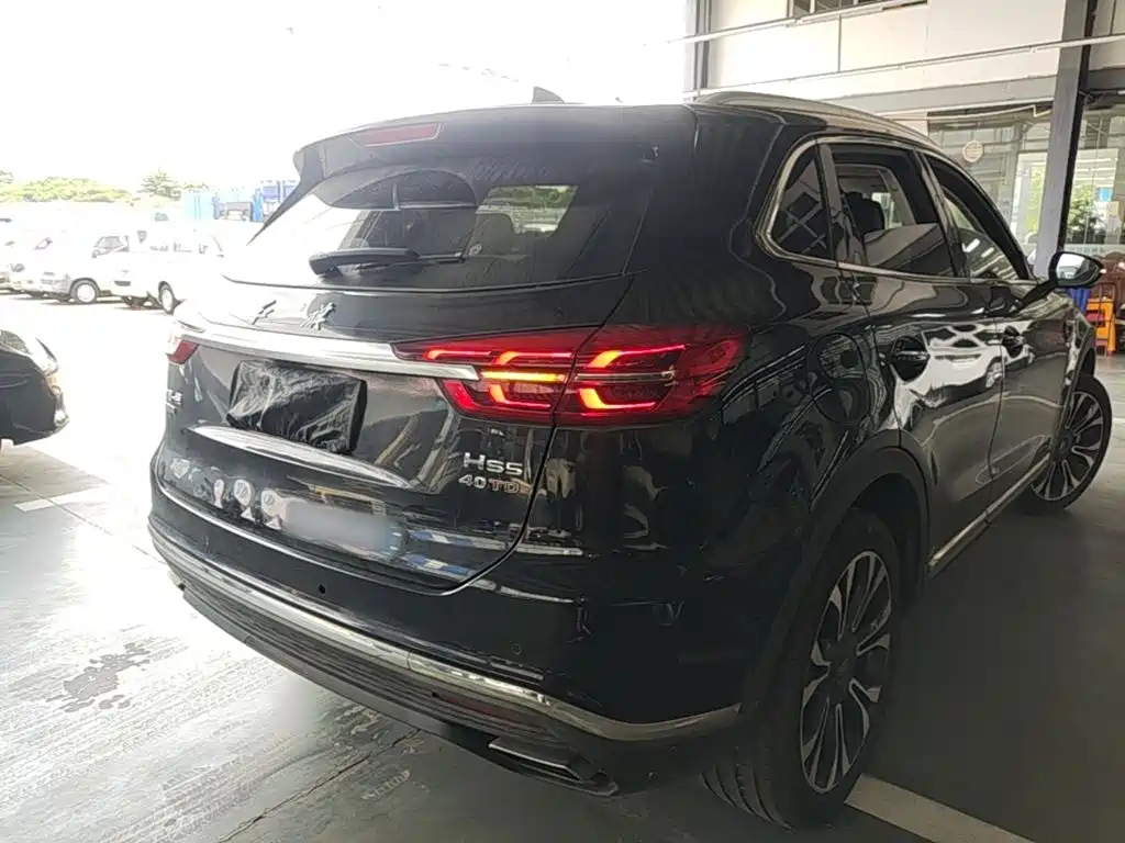 Hongqi HS5 2020 2019 2.0T Smart Connect Enjoy 4WD Edition