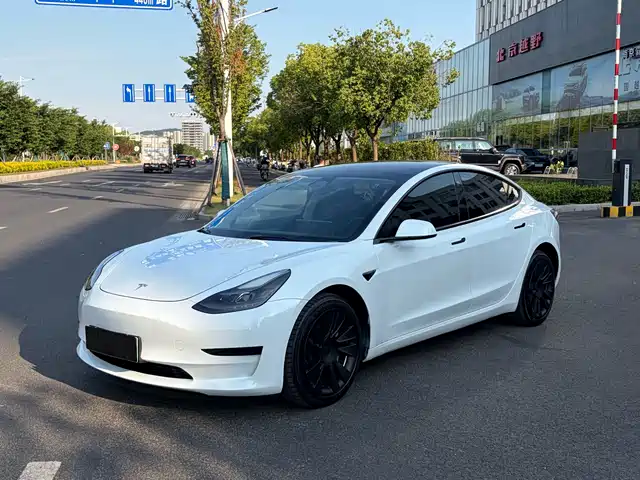 Tesla Model 3 2022 Model Rear-Wheel Drive Version
