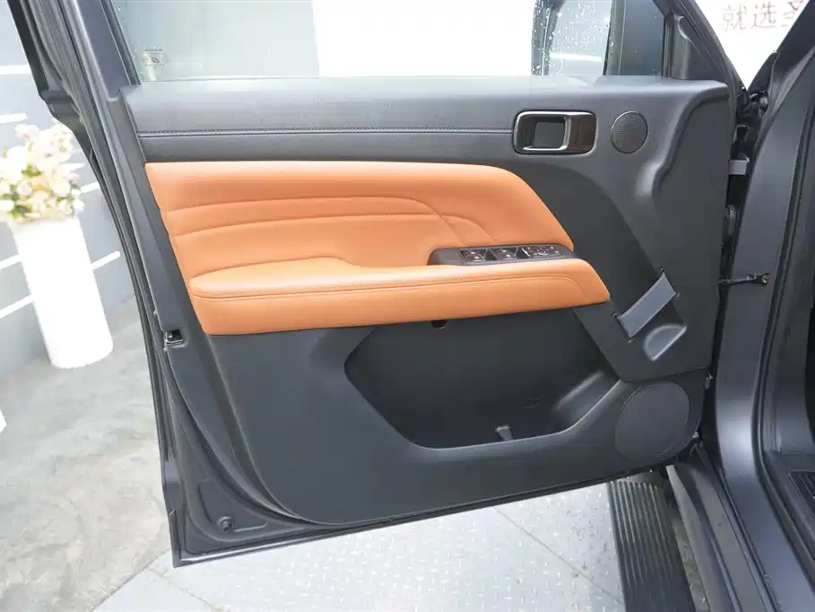 Haval H9 2024 2.0T Gasoline AWD Extreme Edition фото 20
