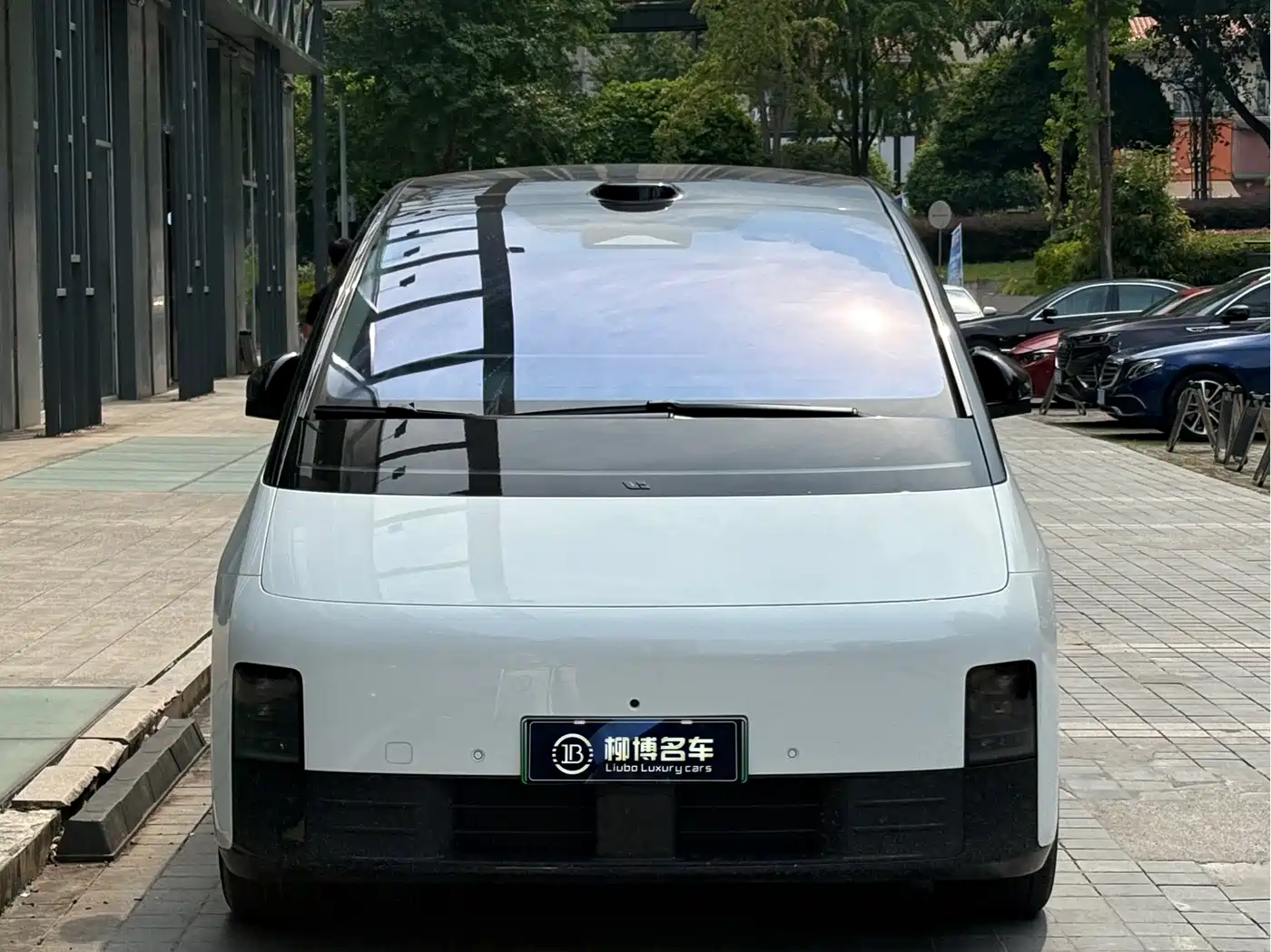 Li Auto MEGA 2025 2025 Model Home Family Special Edition
