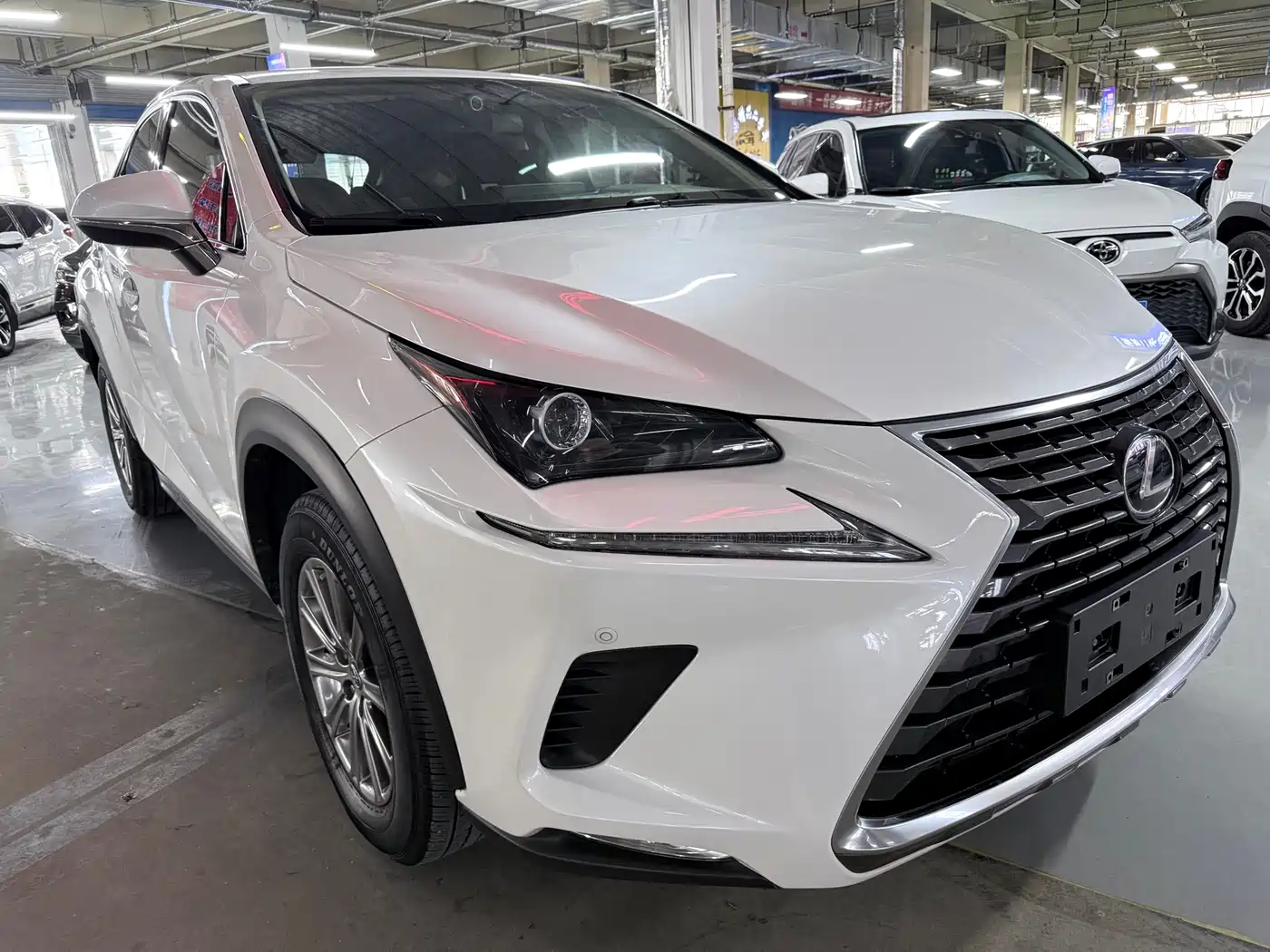 LEXUS NX