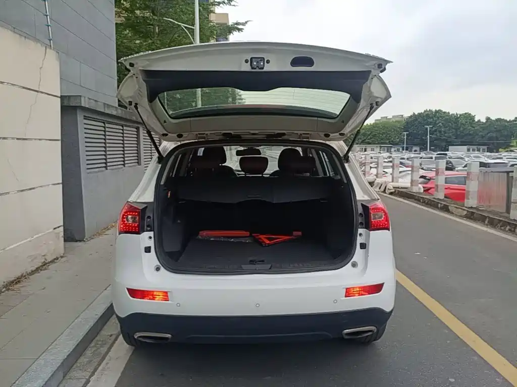 صورة 19 - Zotye T600