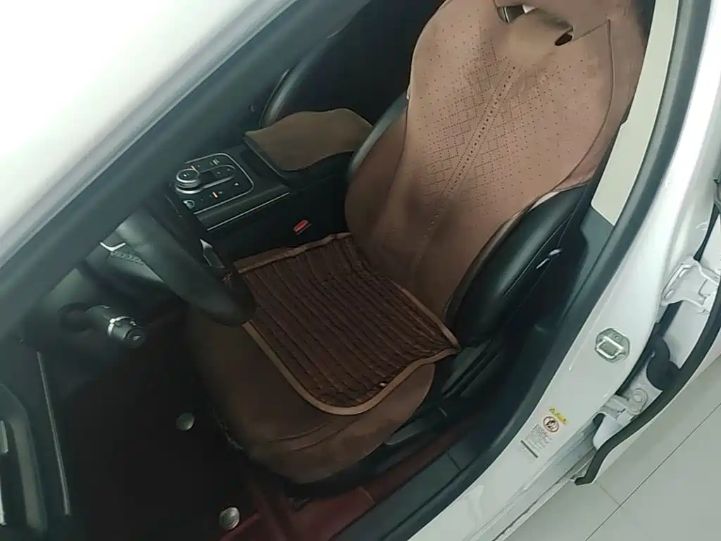 BYD Destroyer 05 2024 2024 Glory Edition DM-i 55KM Luxury