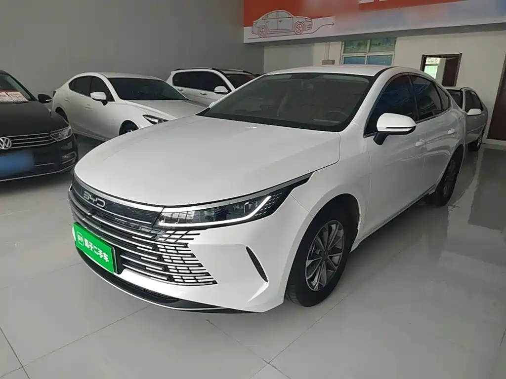 BYD Destroyer 05 2024