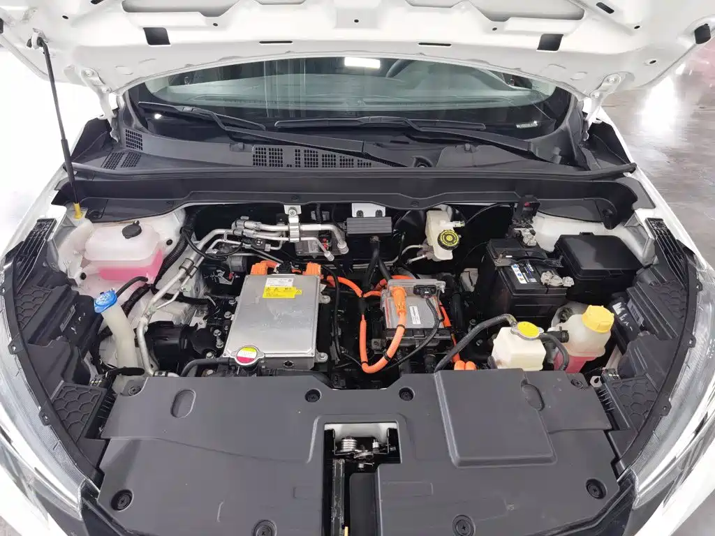 Changan New Energy E-Pro 2020 2020 Extreme Power Edition