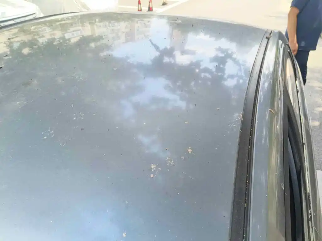 Kia Forte 2009 2009 1.6L AT GL