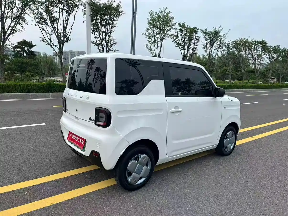 Фото 7 - Geely Galaxy Panda