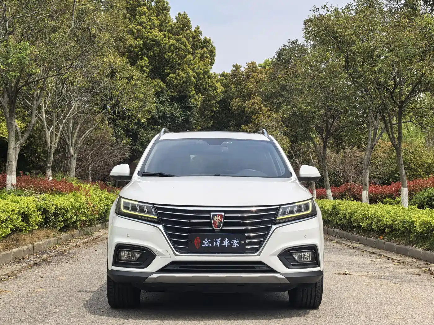 ROEWE RX5