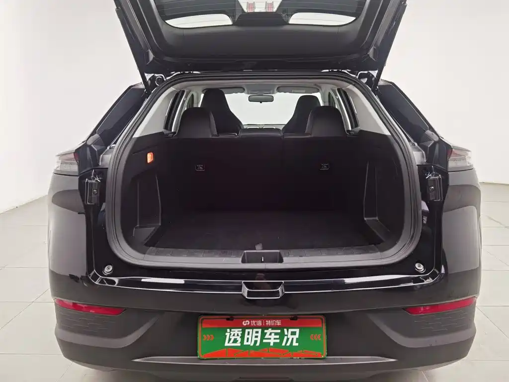 Dongfeng Aeolus SKY EV01 2025 2024 530km PRO