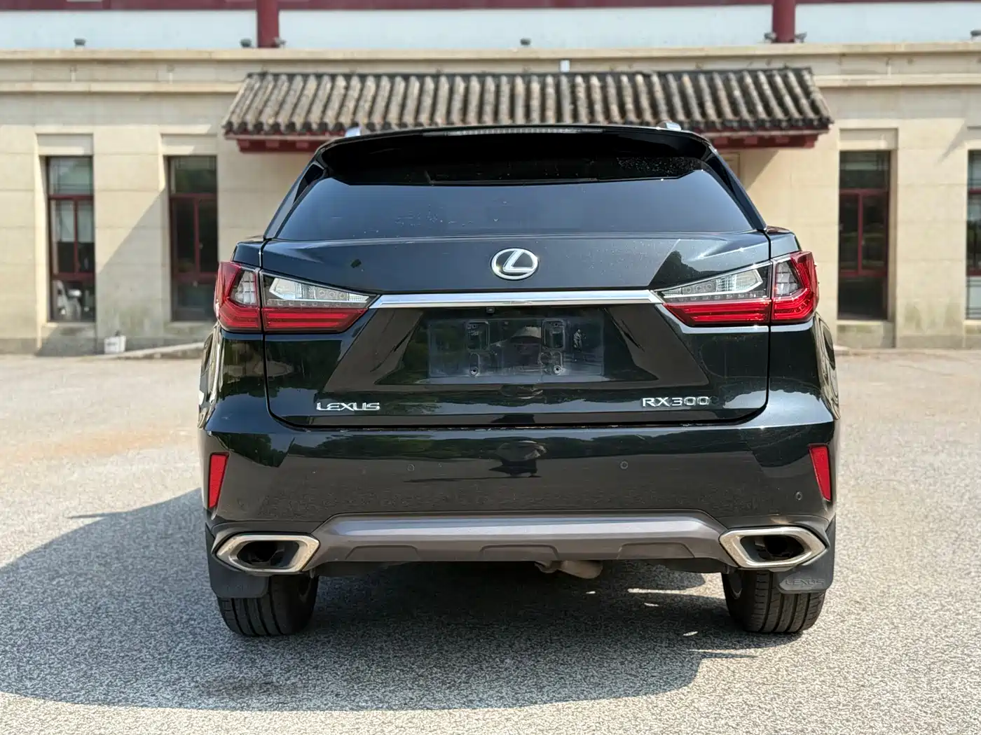 Lexus RX 2016 300 4WD Elegance Edition (China V) фото 4