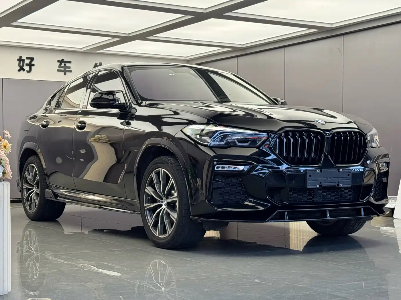 Photo 3 - BMW X6