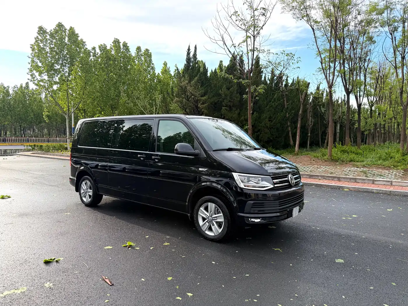Volkswagen Caravelle 2018 2.0TSI 4WD Luxury Edition 7-Seater фото 3