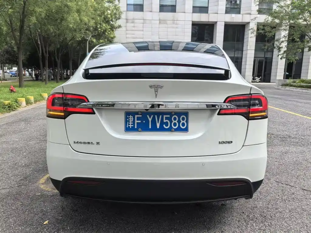 Tesla Model X 2017 2017 Model X 100D Long Range