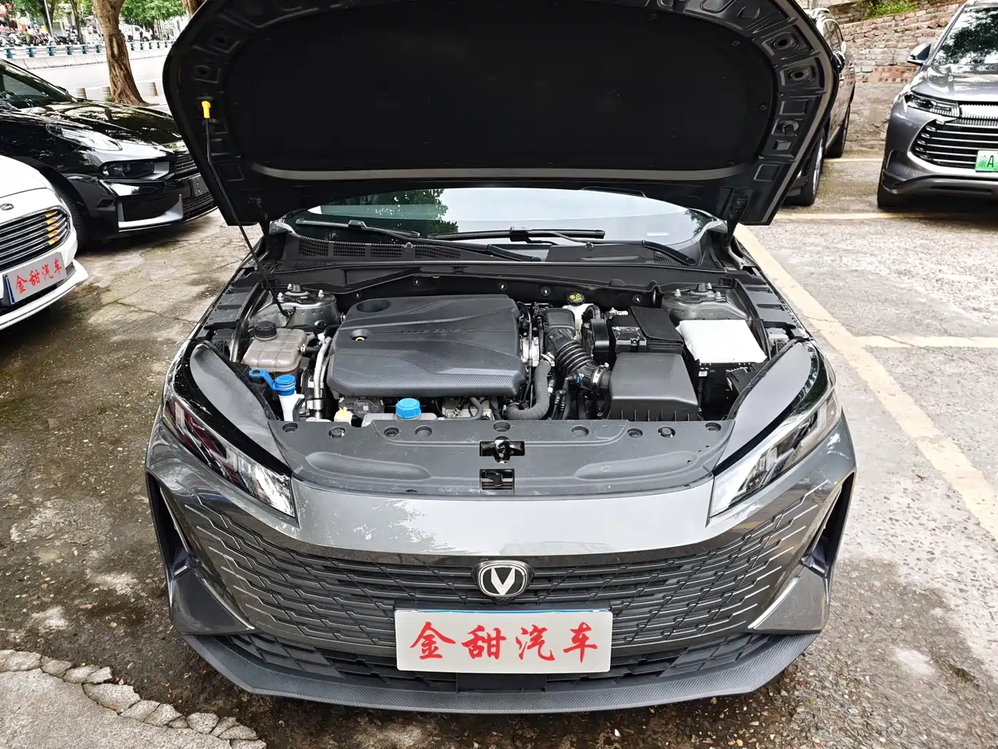 Changan Yida 2023 2023 Blue Whale NE 1.5T GDI DCT Exclusive