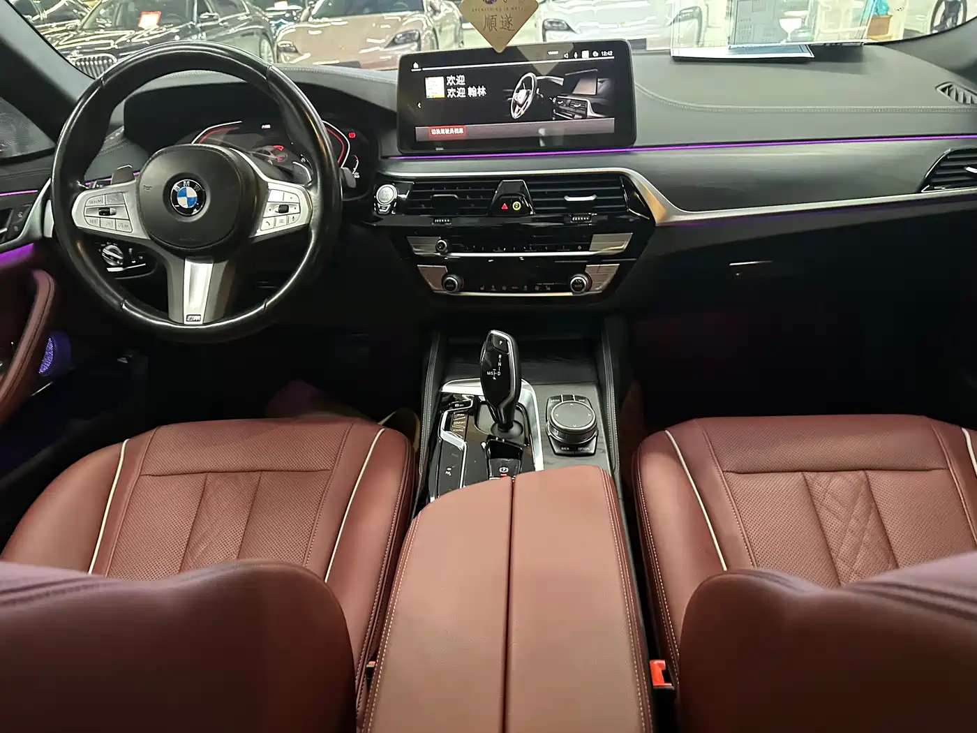 BMW 5 Series 2022 530Li Leading Luxury Package фото 14