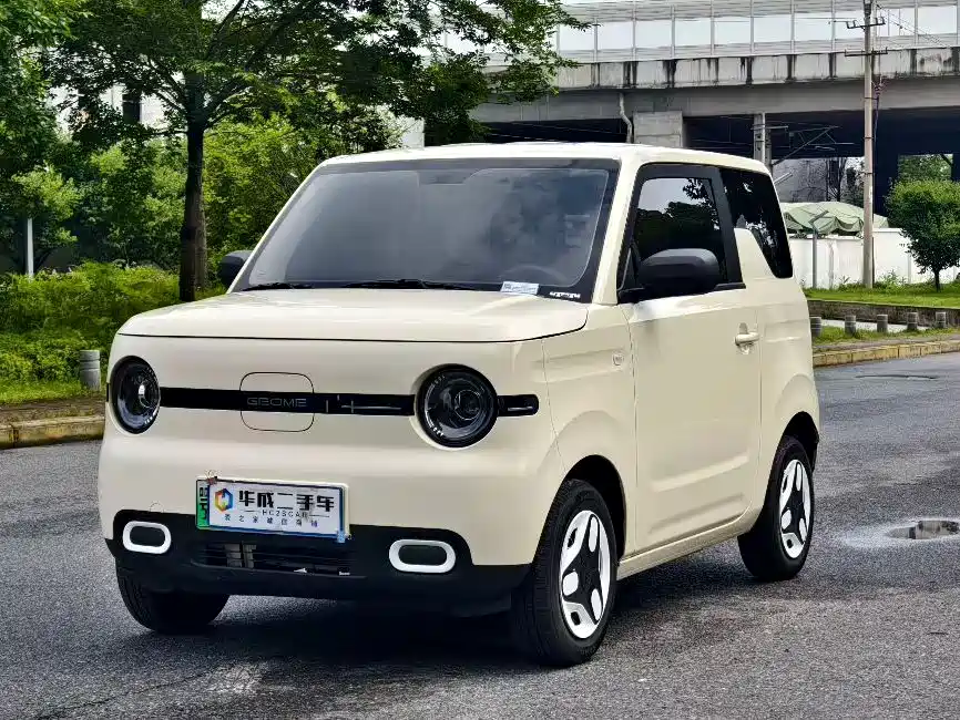 Geely Galaxy Panda 2025 Panda mini 210km Vitality Bear