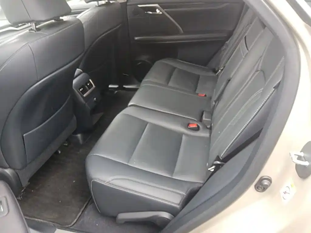 Фото 24 - Lexus RX
