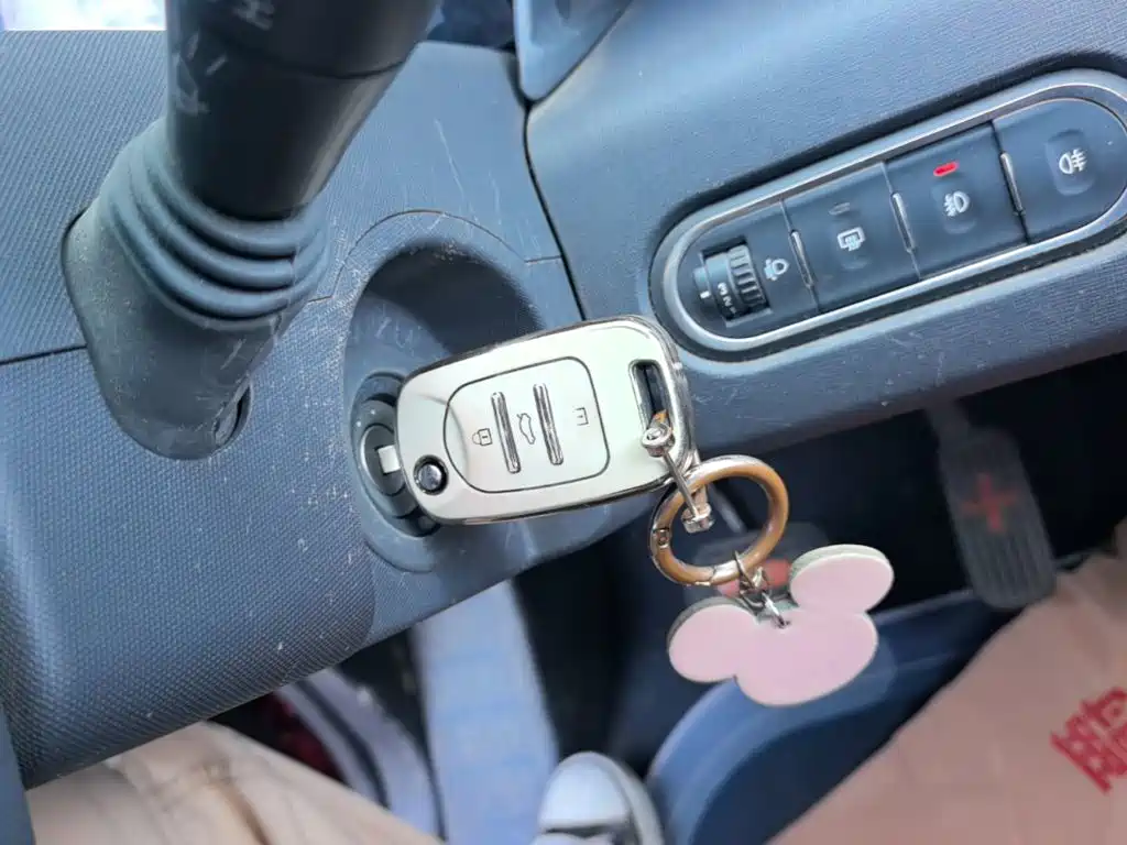 Baojun E100 2019 2019 250KM Smart Edition