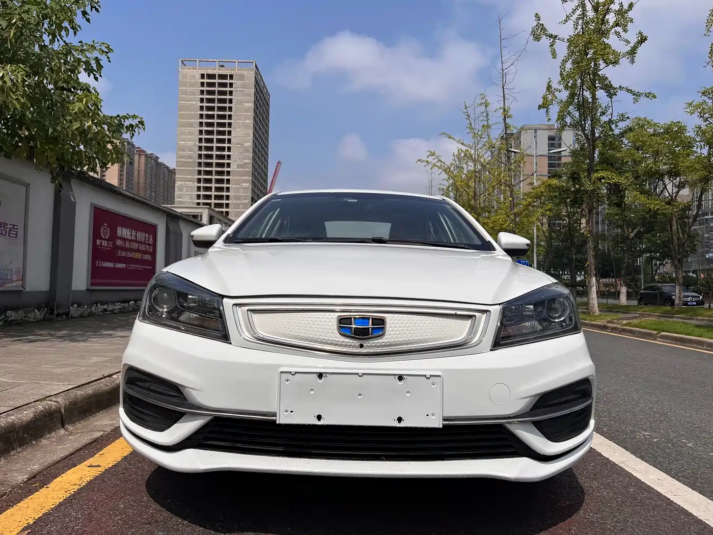 Geely Emgrand New Energy 2018 2018 EV450 Elite