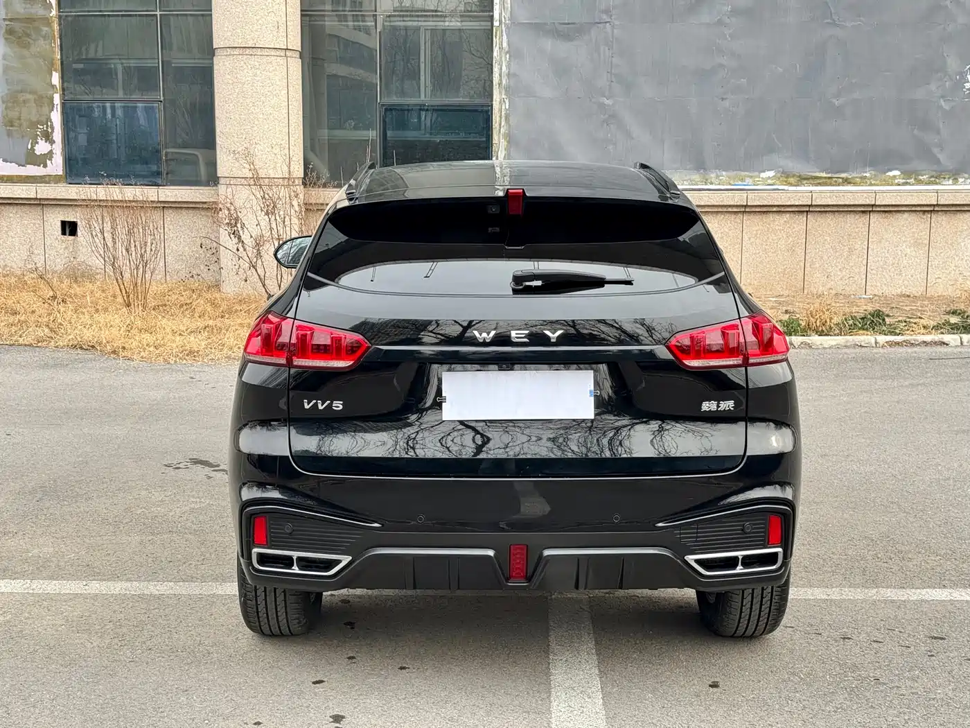 WEI PAI WEI BRAND VV5