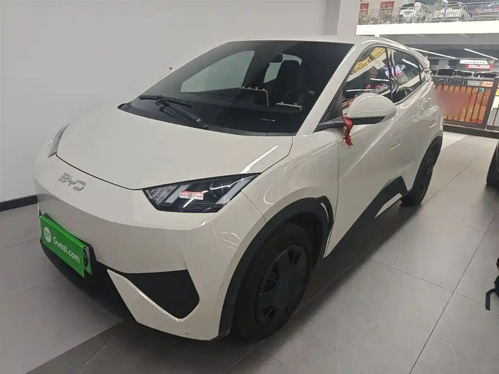 BYD Seagull 2025 Smart Drive Edition 305km Vitality Version фото 2