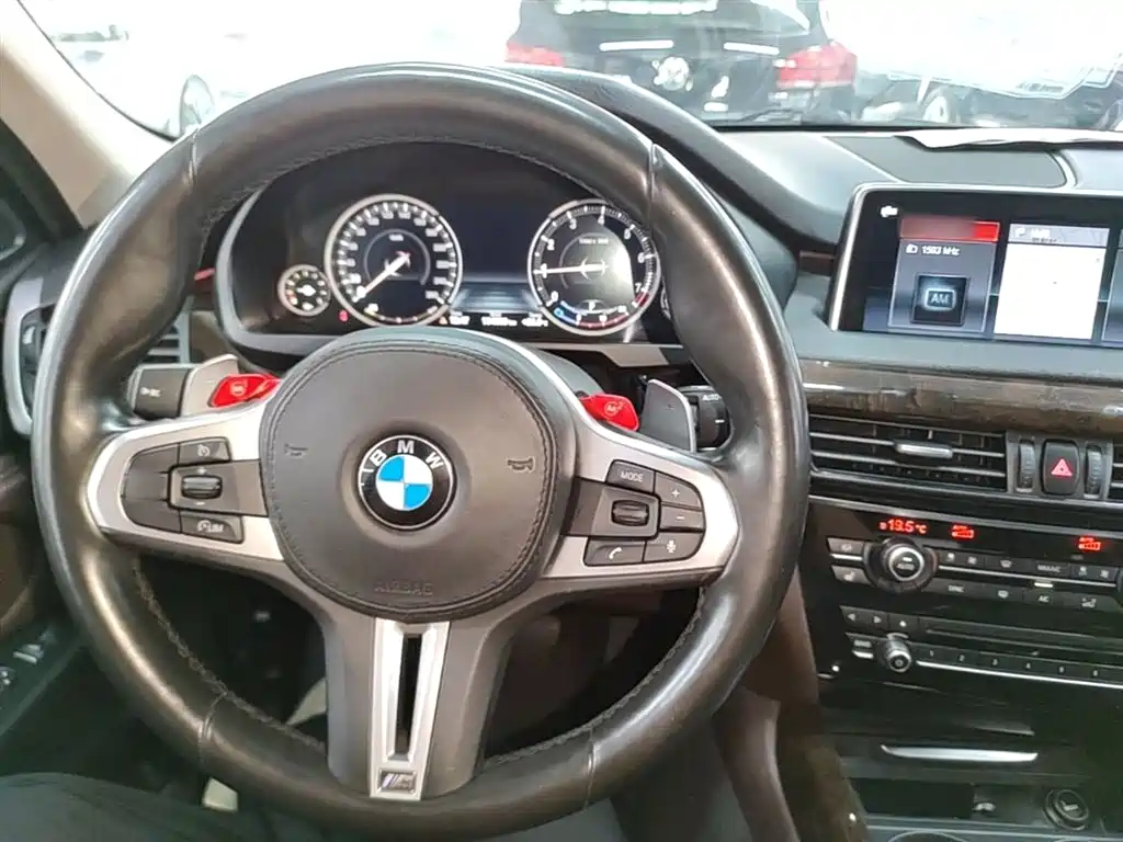 BMW X5 (Import) 2018 xDrive35i Elegant Model фото 10