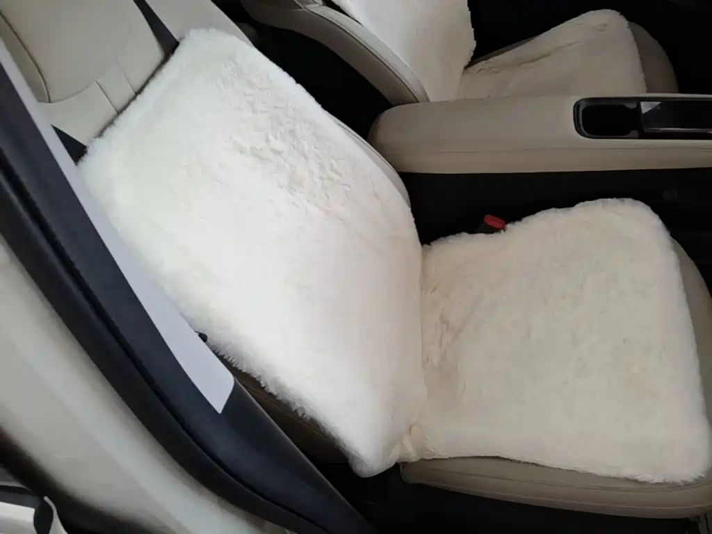 Wuling Motors Wuling Binguo PLUS 2025 2024 Model 330km 5-Seater