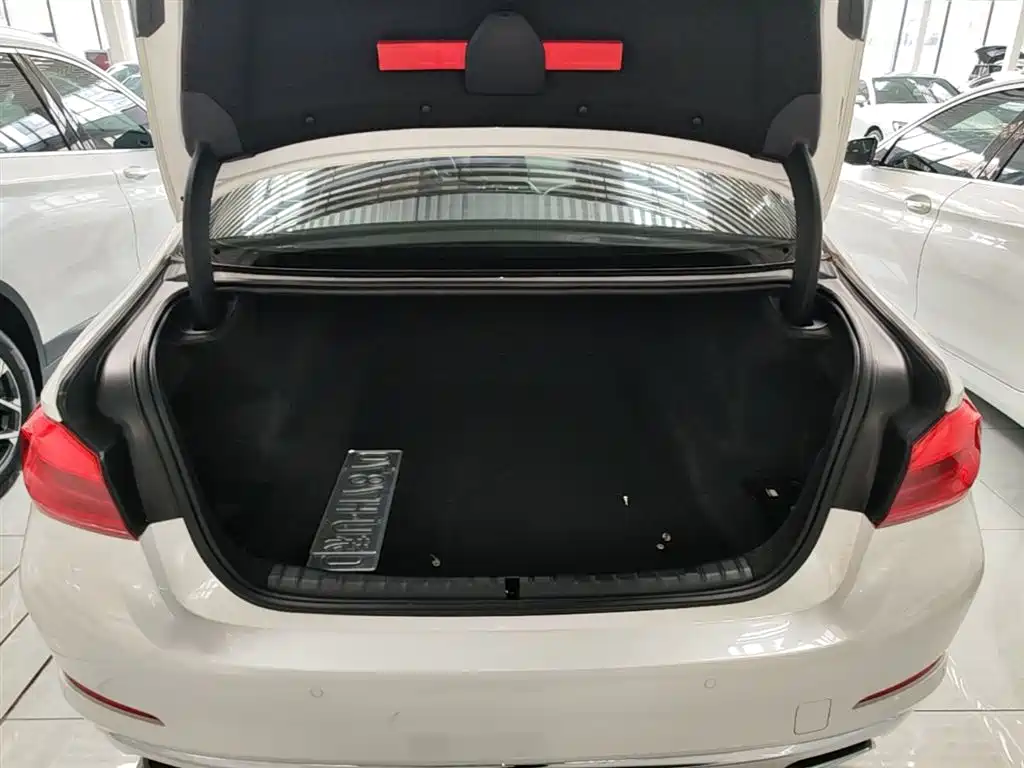 BMW 5 Series 2019 Facelift 530Li Leading Luxury Package фото 19