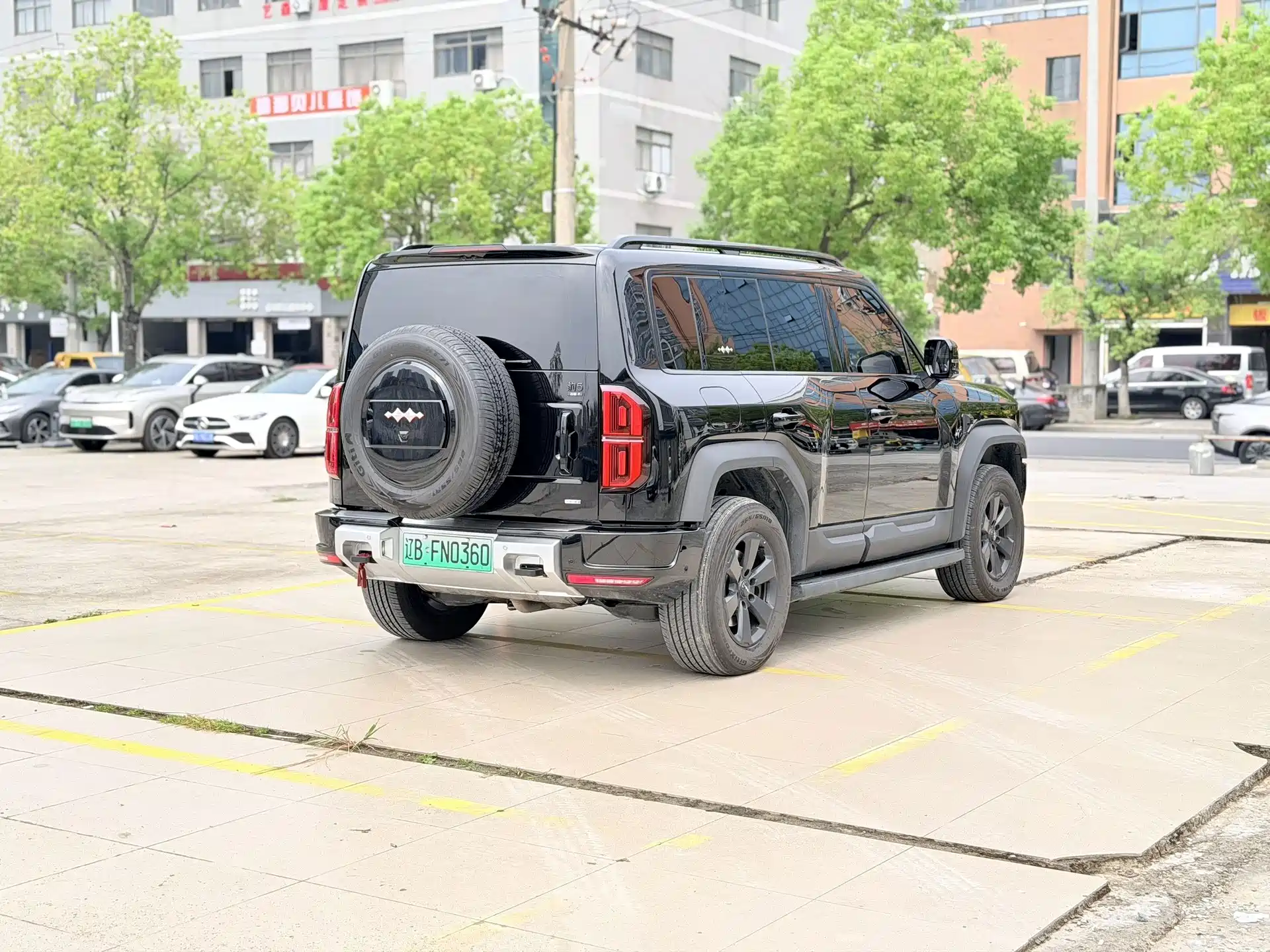 صورة 22 - Fang Cheng Bao Leopard 5