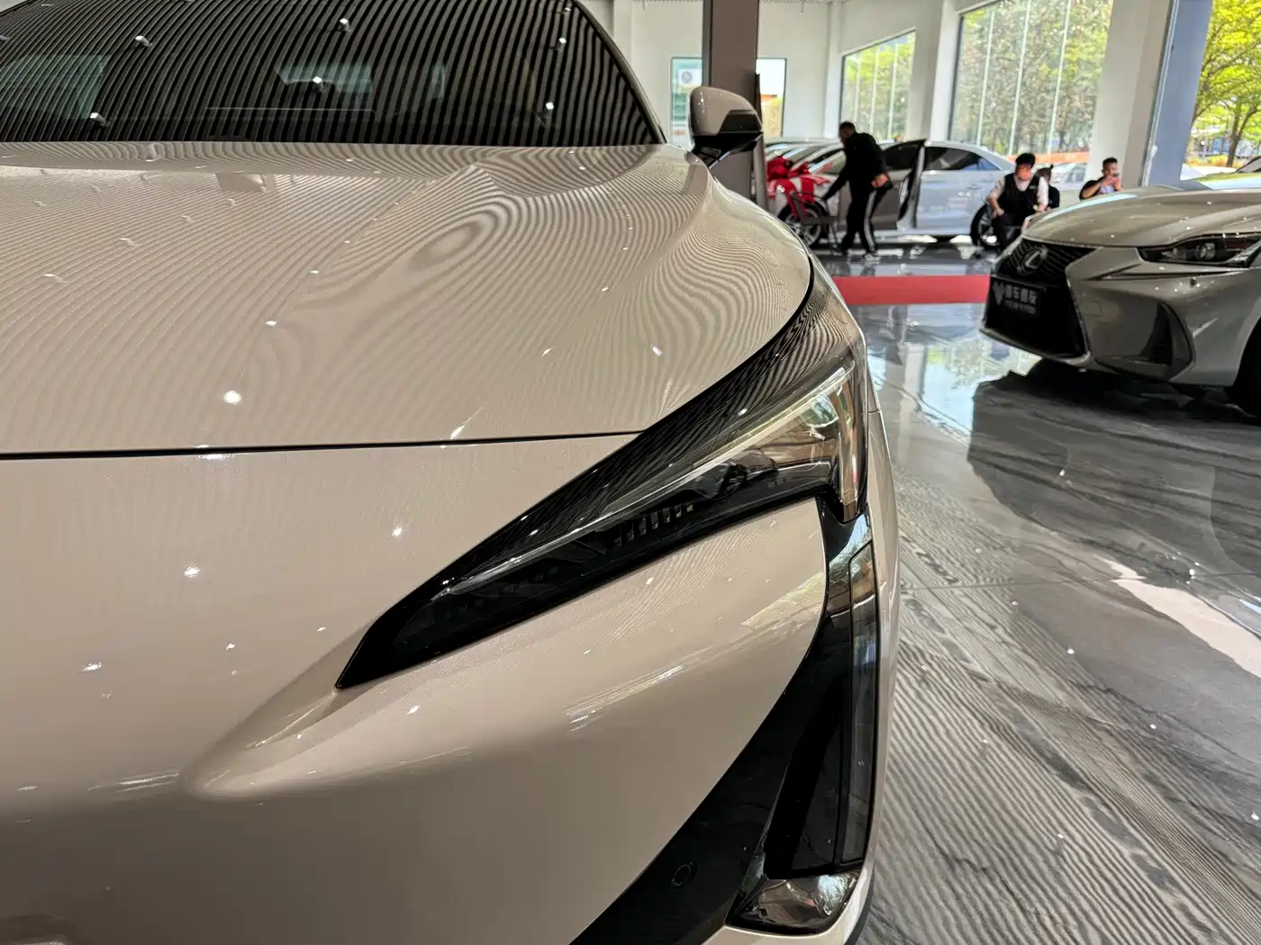 ARCFOX EXTREME FOX POLAR FOX ALPHA S5