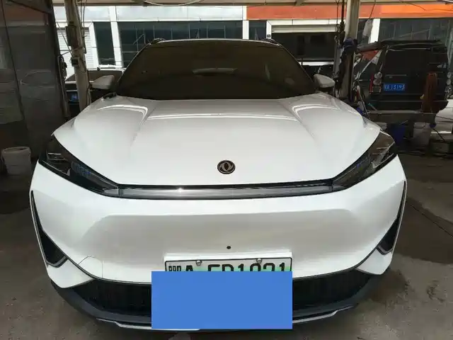  Dongfeng Aeolus Dongfeng Fengshen L7 2024 205 Plus