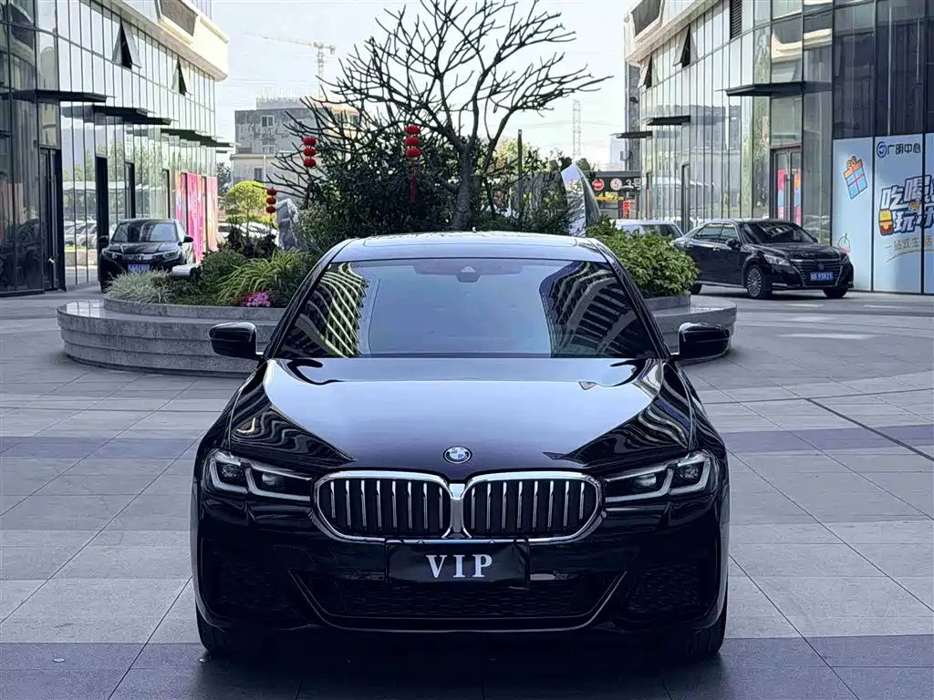 BMW 5 SERIES