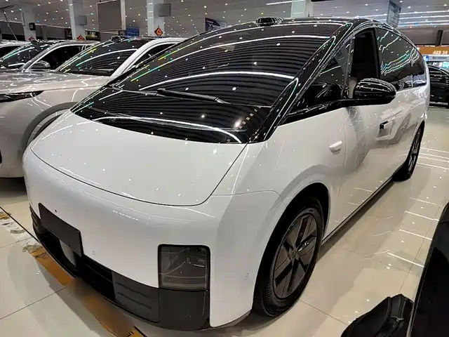 Li Auto MEGA Home, Семейная спецсерия