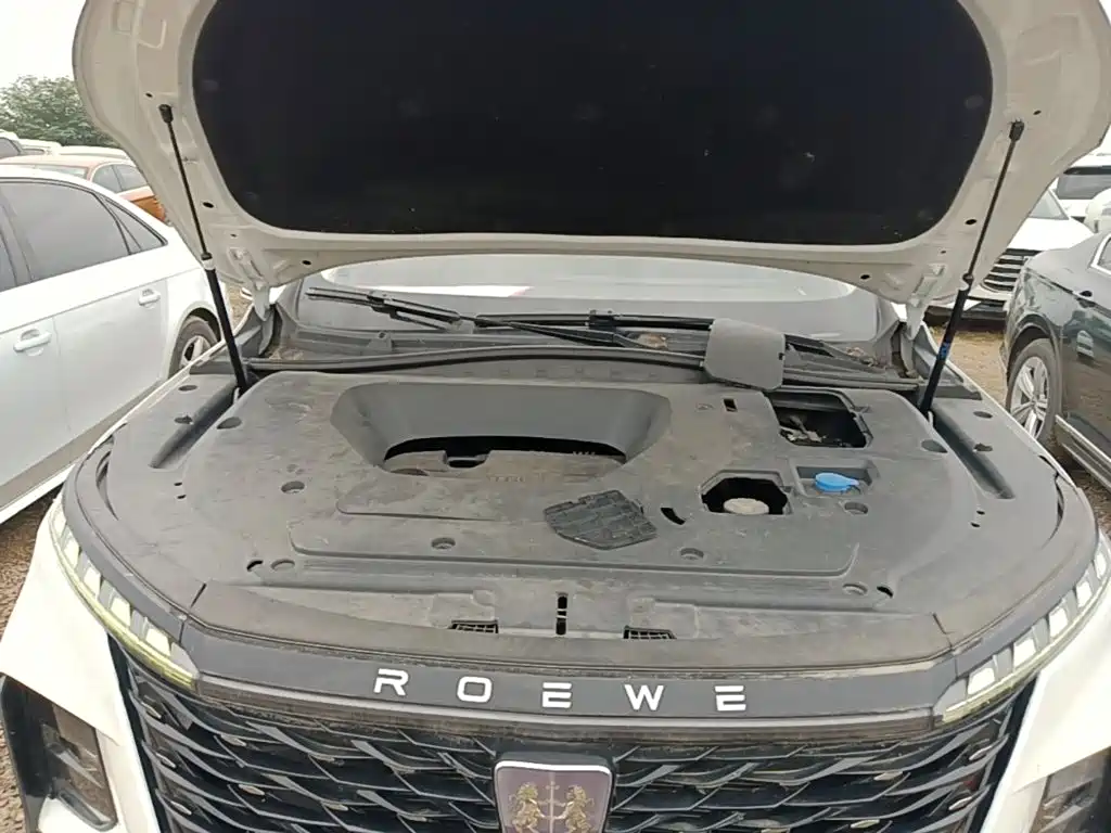 Фото 20 - Roewe RX5 MAX