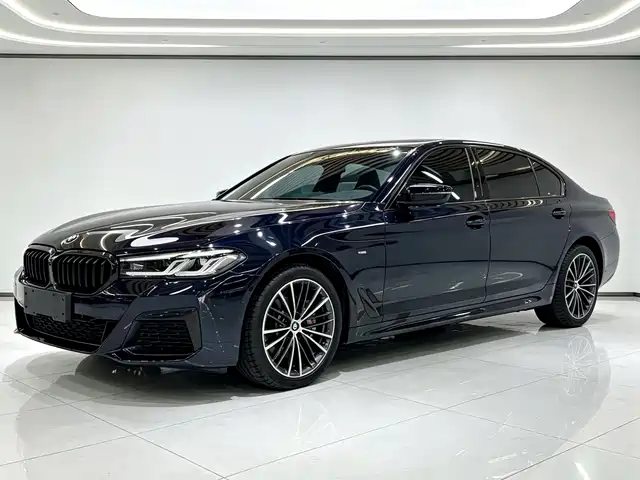 BMW 5 530Li, Лидер, M Спорт-пакет