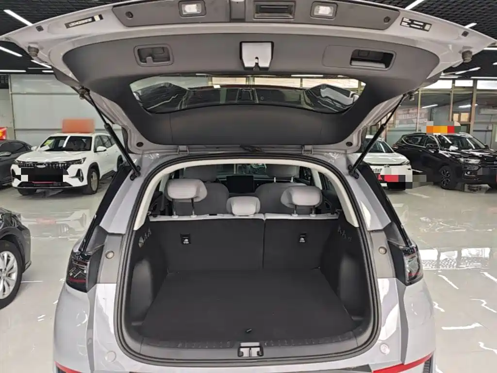 BYD Hai Shi 05 EV 2025 520KM Smart Navigation Edition фото 19