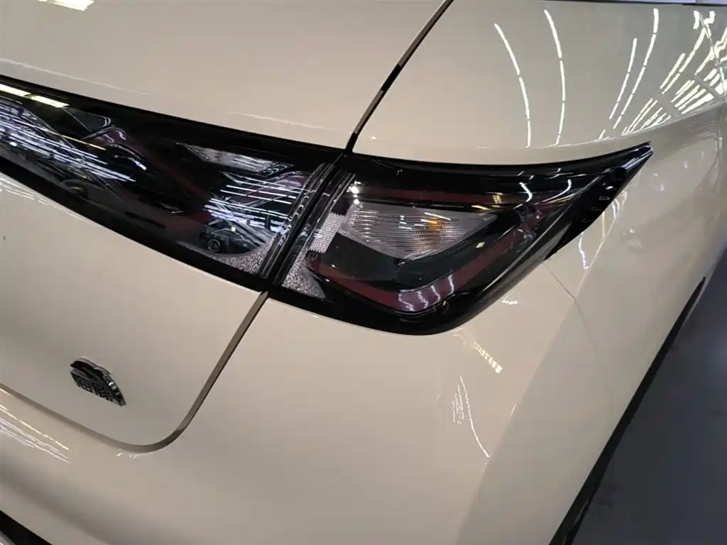 BYD Dolphin 2023 420km Fashion Edition фото 8