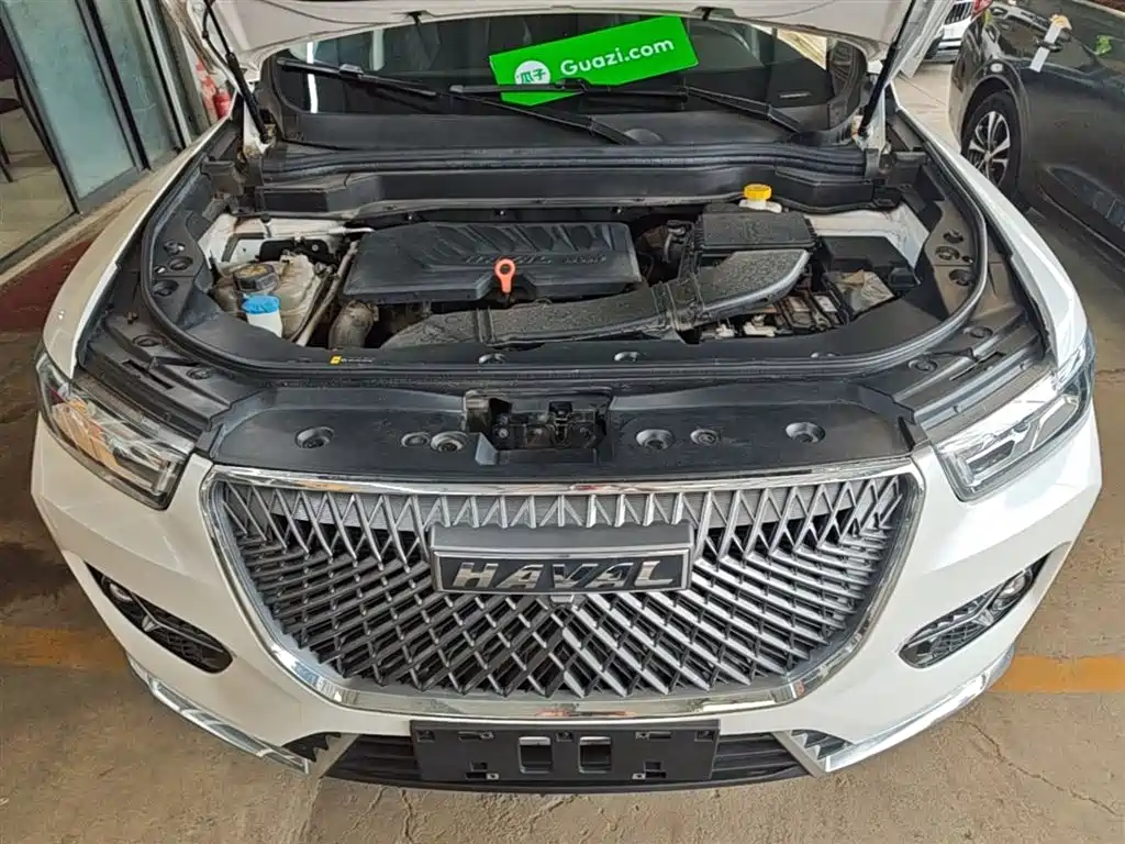 Haval H6 2021 1.5GDIT Automatic Champion Edition фото 20