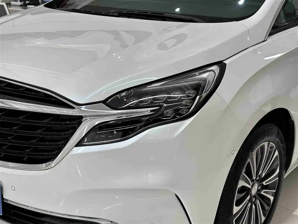 Buick GL8 2022 ES Landmark 653T Flagship фото 4