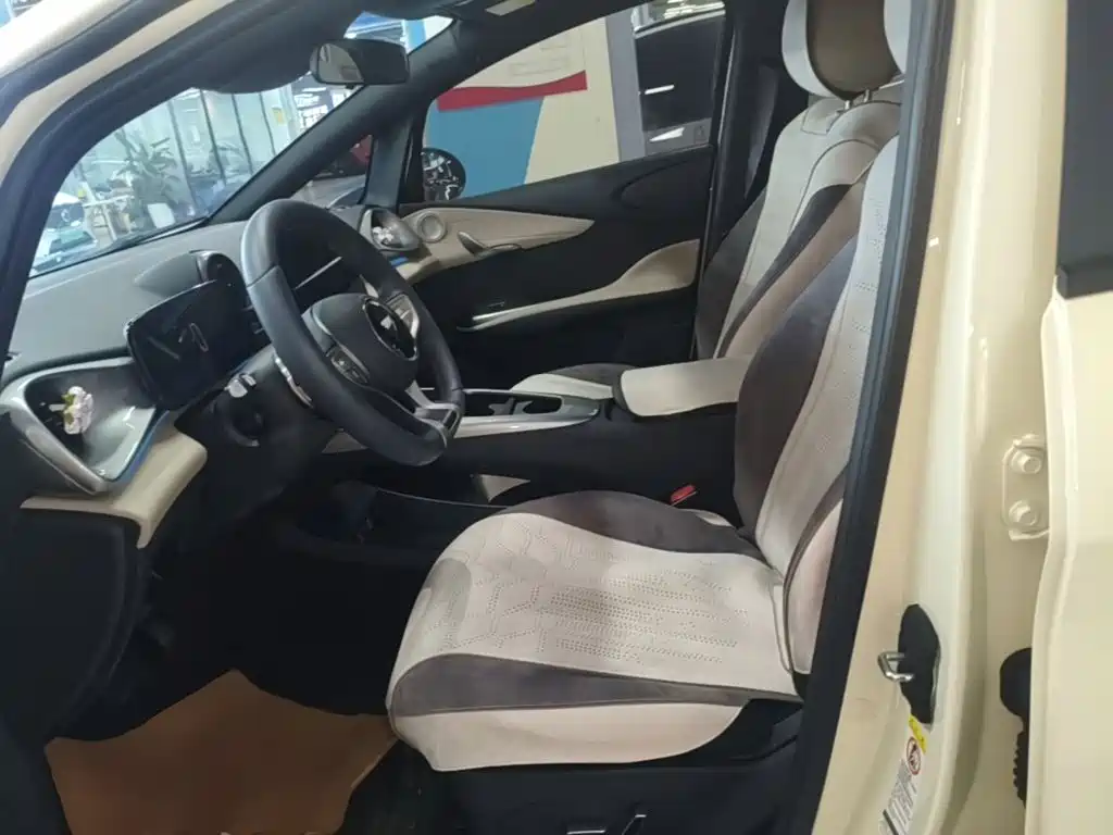 BYD Dolphin 2026 2025 Smart Drive Edition 410km Fashion Version
