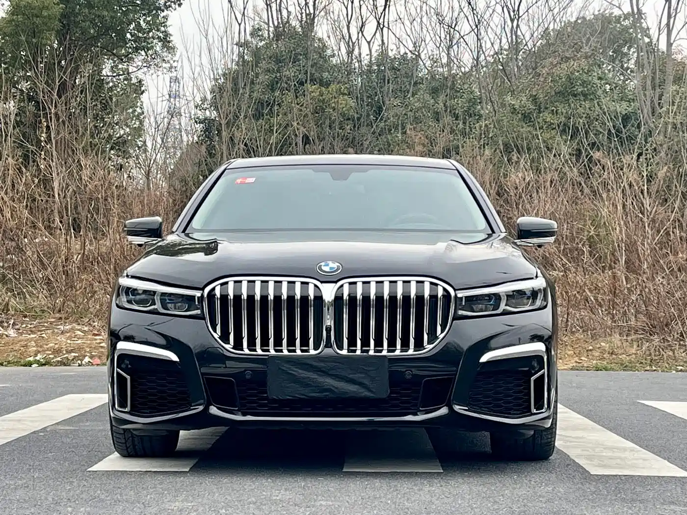 BMW 7 Series 2016 740Li Leading Edition фото 2