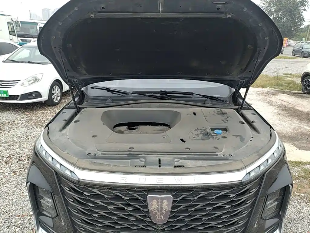 Roewe RX5 MAX 2022 2022 1.5T Auto Promising Premium Edition