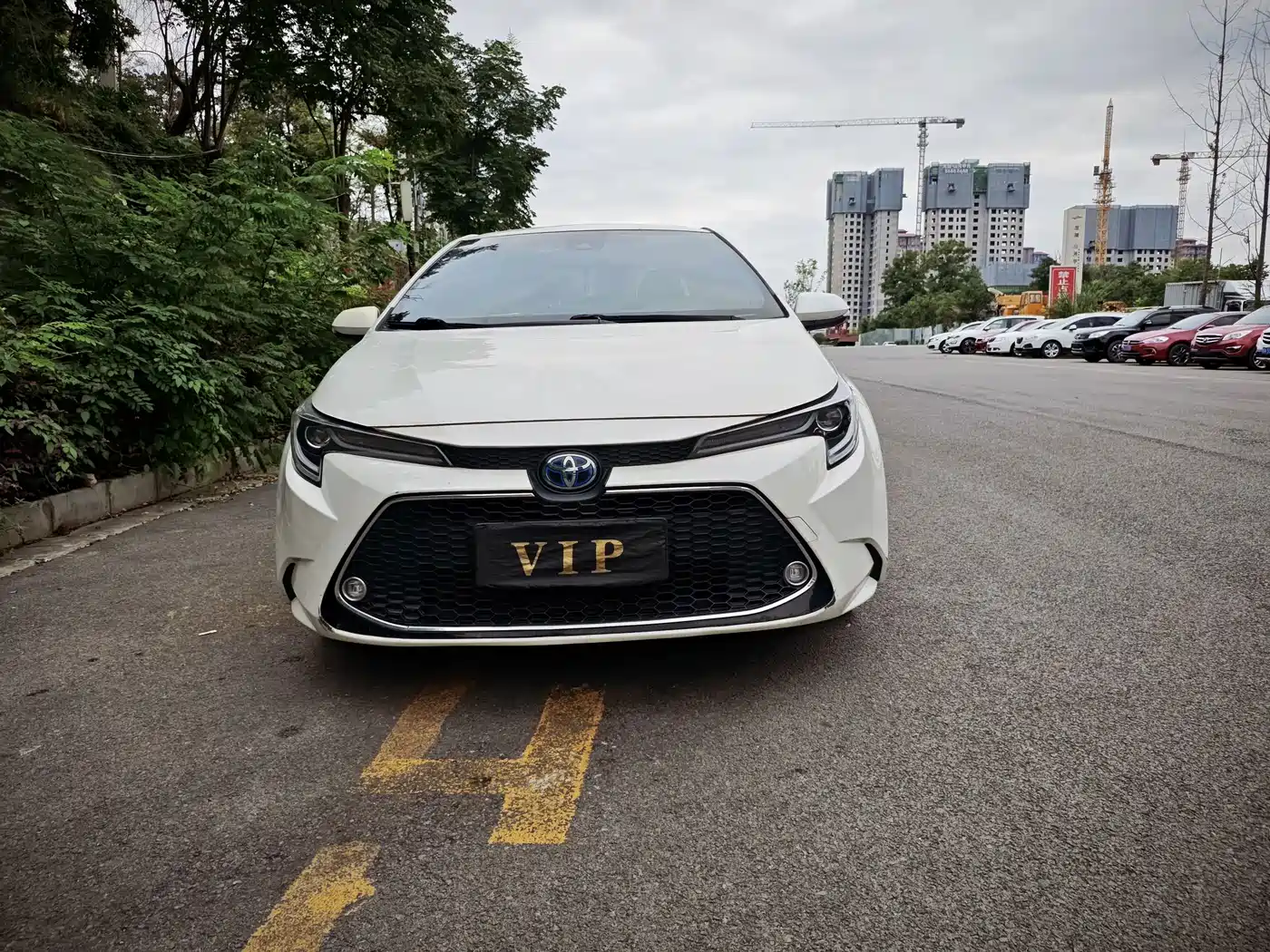 Фото 2 - Toyota Levin