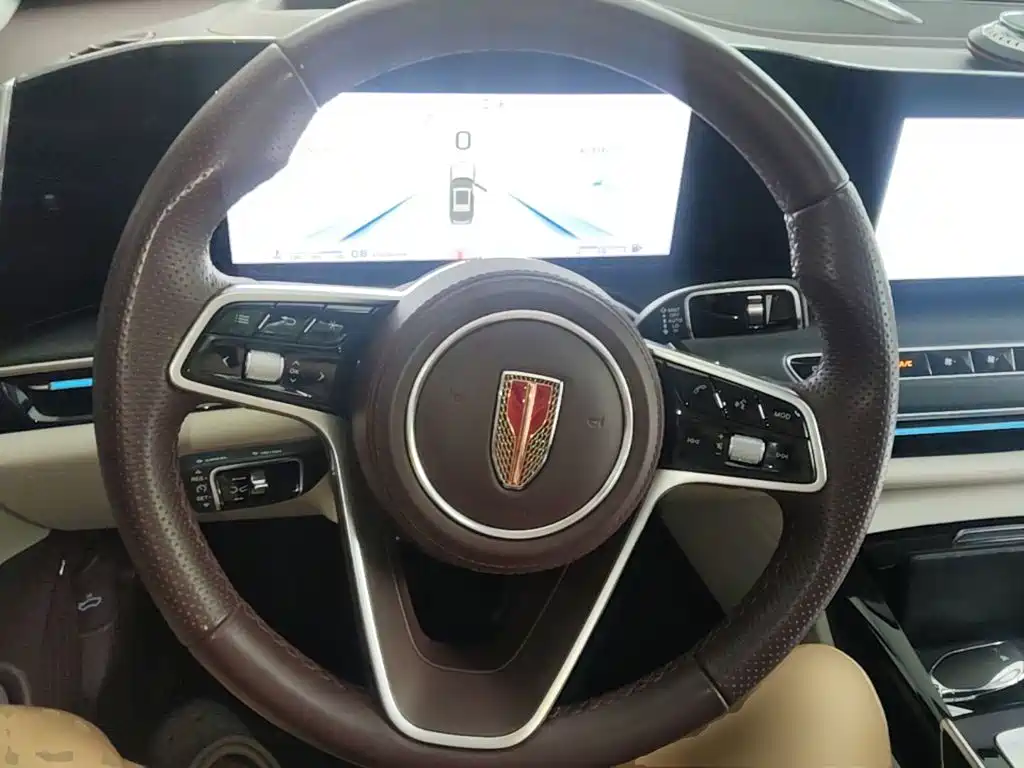 Photo 11 - Hongqi H9