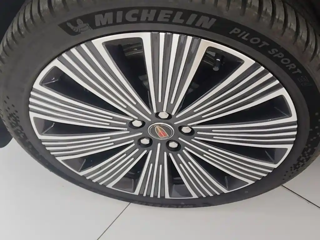 Photo 23 - Hongqi H9
