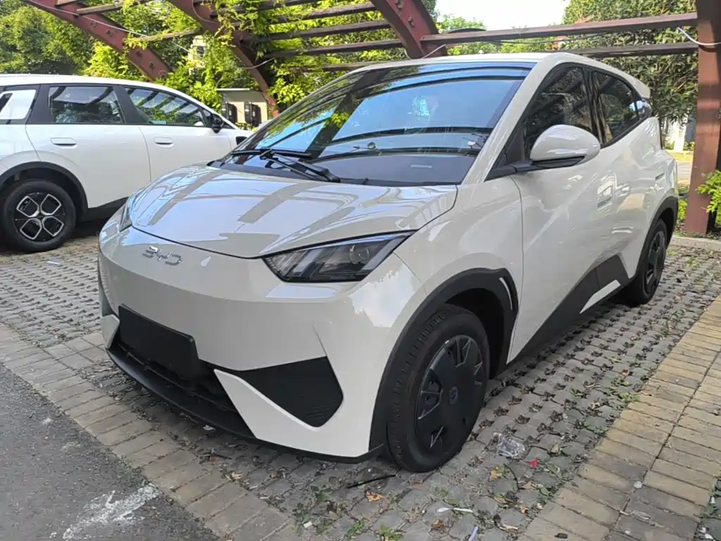 BYD Seagull 2025