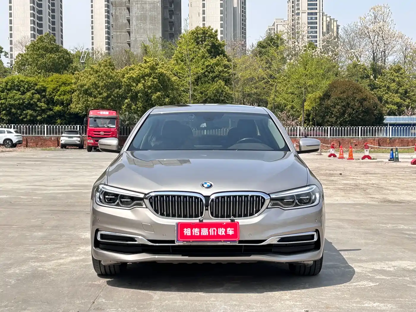 BMW 5 Series 2020 530Li Leading Luxury Package фото 2