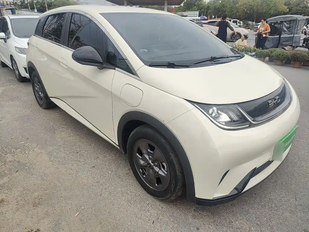 Photo 4 - BYD Dolphin