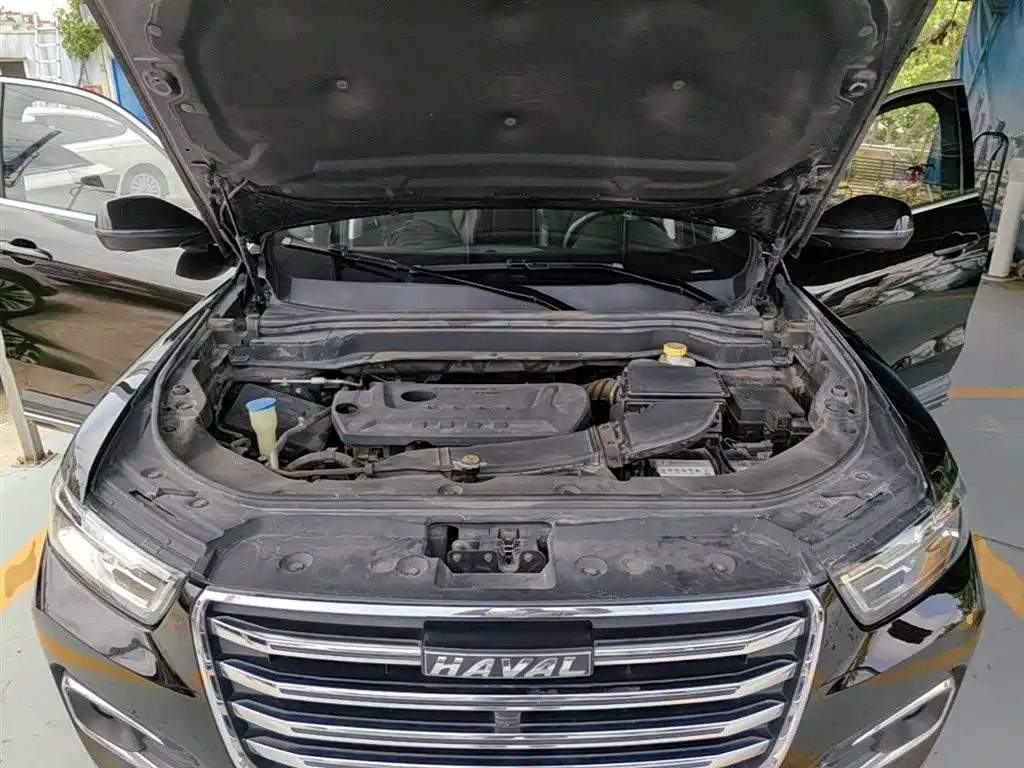 Haval H6 2019 2.0GDIT Automatic Champion Edition China V фото 20